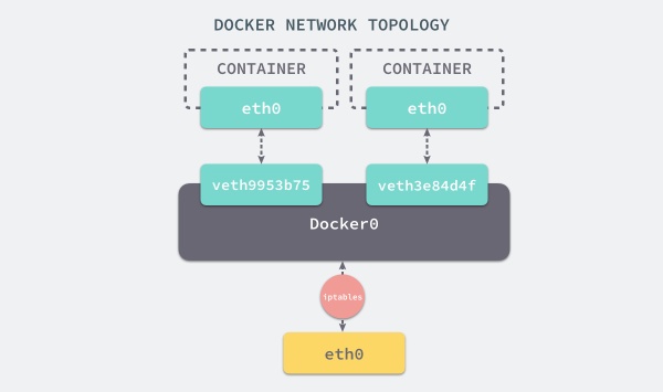 dockerNetTopology